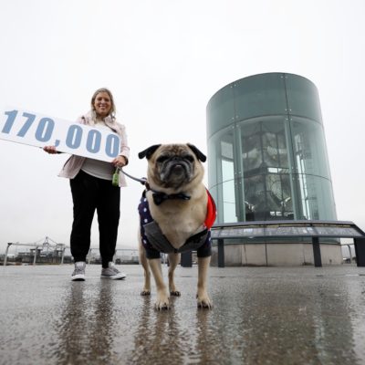 The Great Light and Titanic Walkway Welcome over 170,000 Visitors in First Year